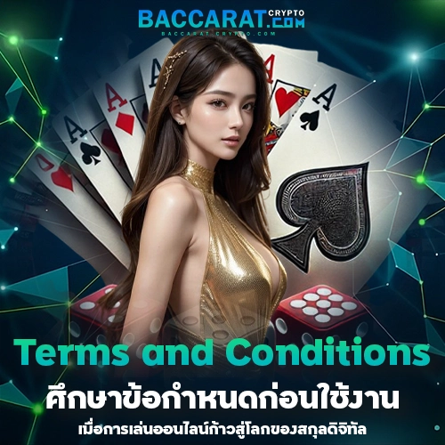 Terms and Conditions